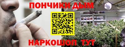 apvp Можга