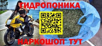 apvp Можга