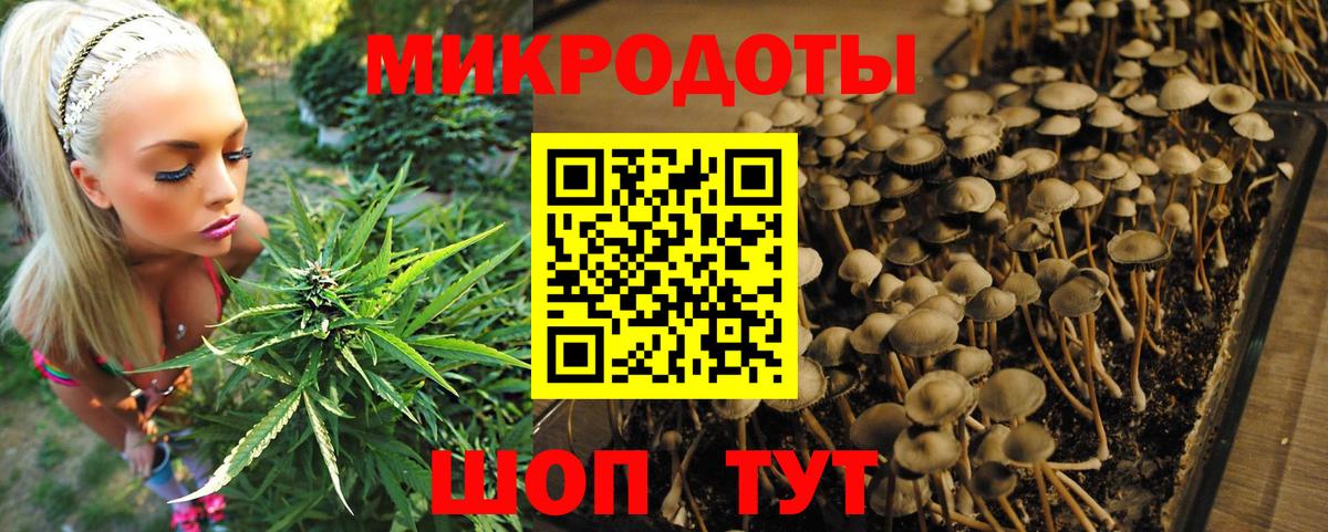 Красноперекопск  Псилоцибиновые грибы Cubensis  Вход с VPN  Псилоцибиновые грибы Psilocybe 